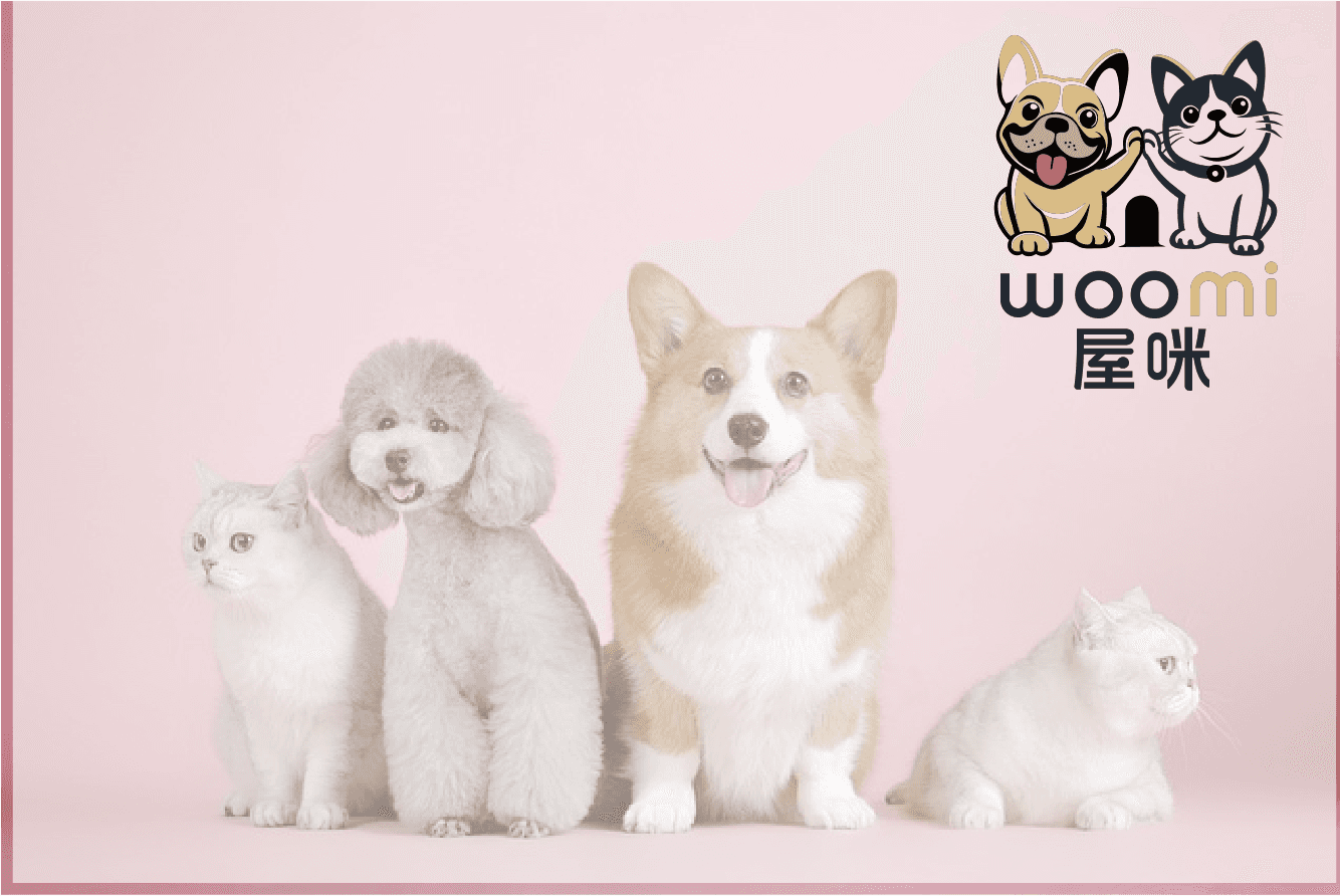 印刷品設計｜屋咪Woomi