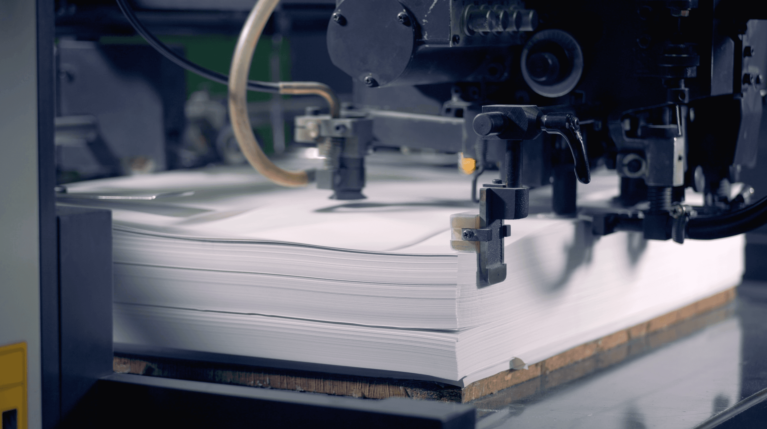 Precision in print, perfection in brand. 2